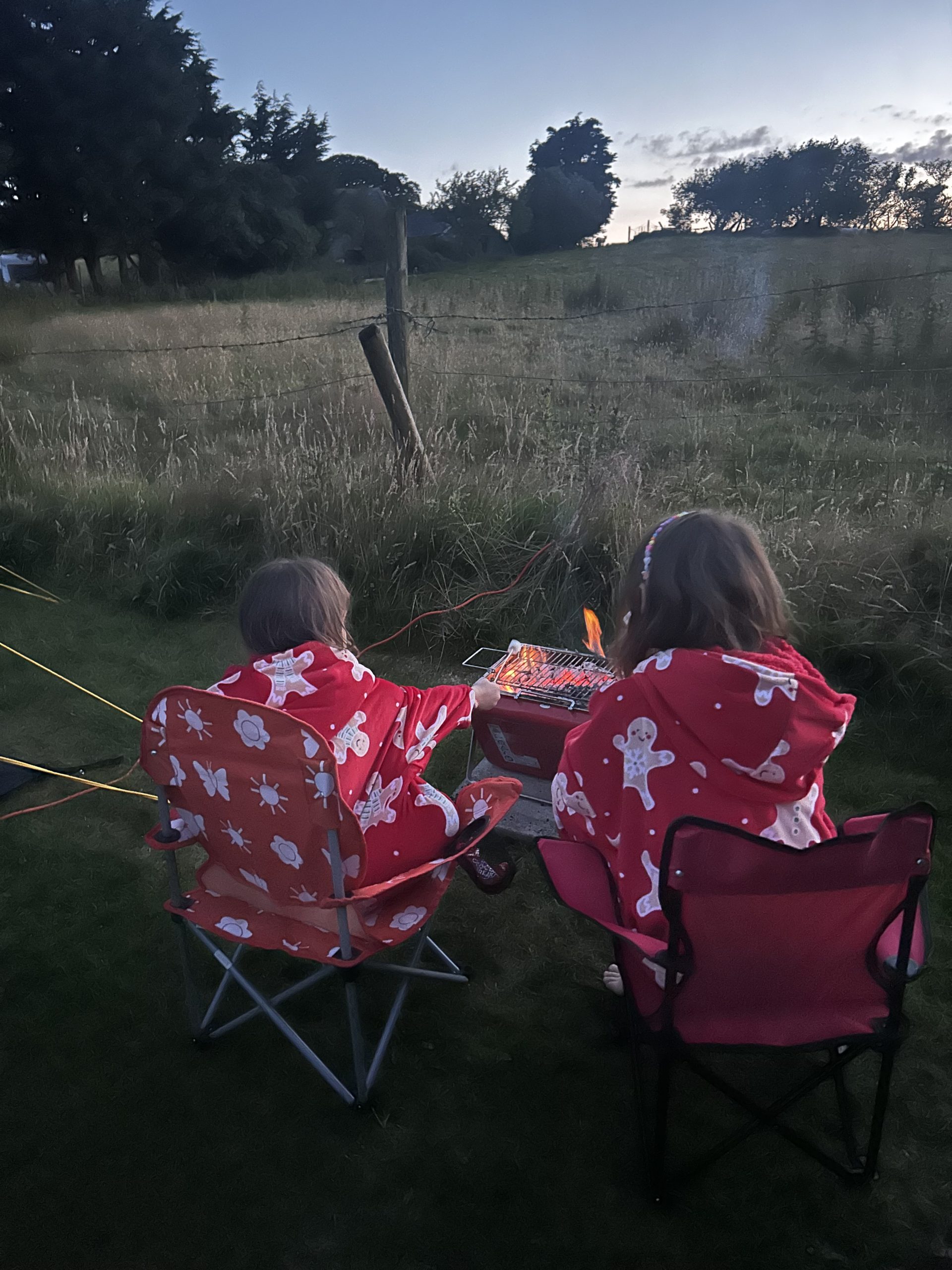 Two girls roast marshmallows on a campfire